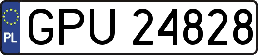 GPU24828
