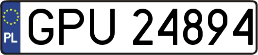 GPU24894