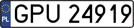 GPU24919