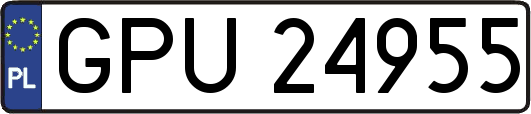GPU24955
