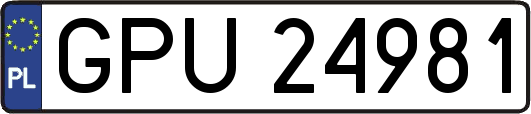GPU24981