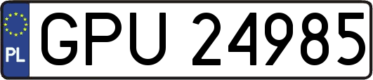 GPU24985