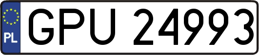 GPU24993