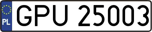 GPU25003
