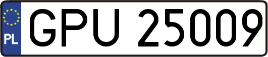 GPU25009