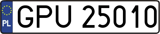 GPU25010