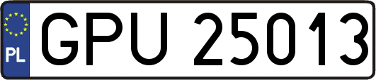 GPU25013