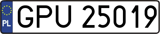 GPU25019