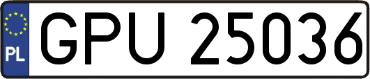 GPU25036