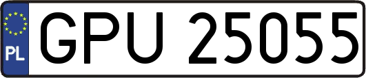 GPU25055