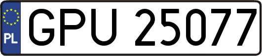 GPU25077