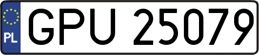 GPU25079