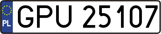 GPU25107