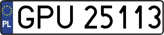GPU25113