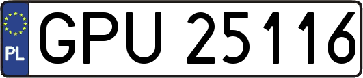 GPU25116