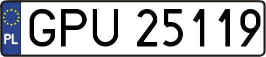 GPU25119