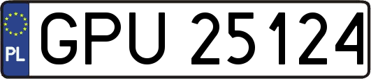 GPU25124