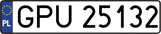GPU25132