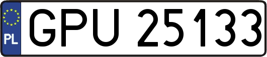 GPU25133