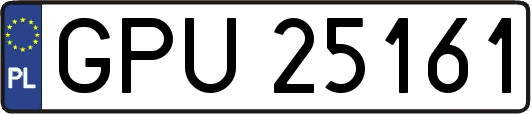 GPU25161