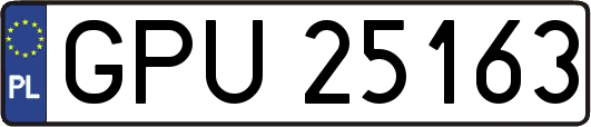 GPU25163