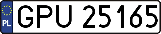 GPU25165