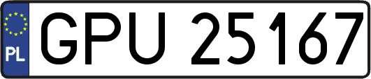 GPU25167