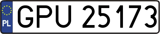GPU25173