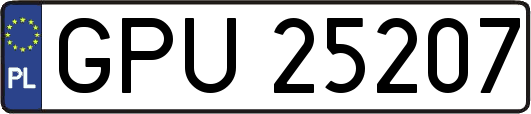 GPU25207