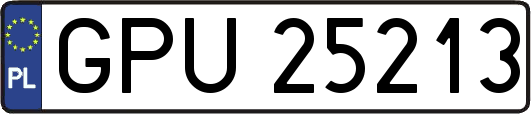 GPU25213