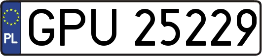 GPU25229