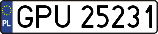 GPU25231