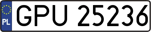 GPU25236