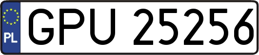 GPU25256