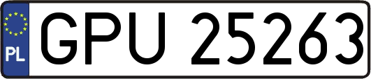 GPU25263