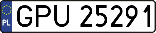 GPU25291