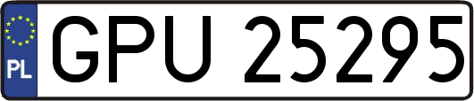 GPU25295