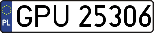 GPU25306