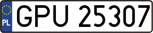 GPU25307