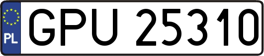 GPU25310