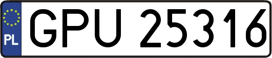 GPU25316