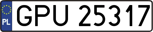 GPU25317