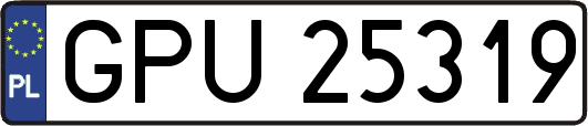 GPU25319