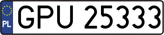 GPU25333