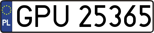 GPU25365