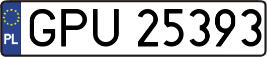 GPU25393