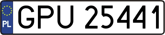 GPU25441