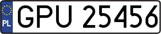 GPU25456