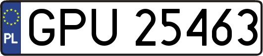 GPU25463