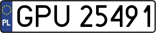 GPU25491